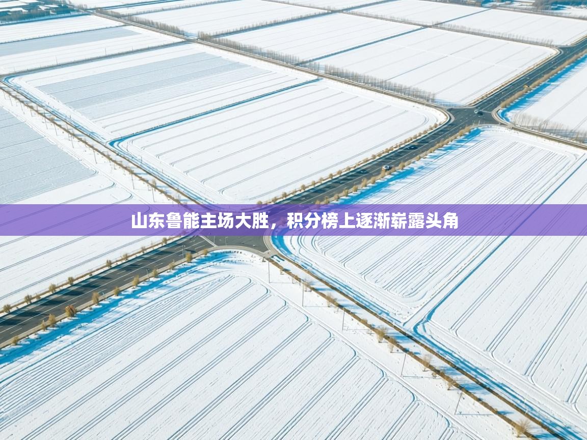 山东鲁能主场大胜,积分榜上逐渐崭露头角 第2张